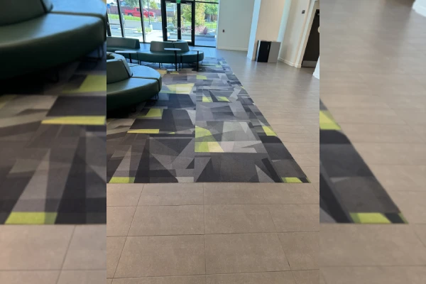 Professional Janitorial Services